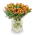 Kytice tulipánů